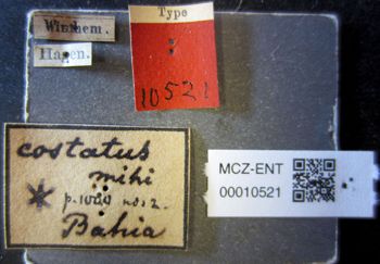 Media type: image;   Entomology 10521 Aspect: labels